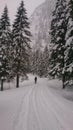 Walking in the snowy Alps