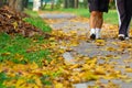 Walking in the Spring road Royalty Free Stock Photo