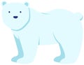 Walking or standing polar bear, side view. Wild animal living in antarctica vector illustration