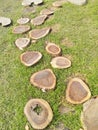 Walking steps in playground by wooden stumps