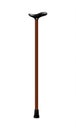 Walking stick