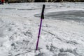 Walking stick in the frozen river