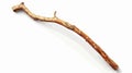 Walking Stick on White Background Vector Illustration Royalty Free Stock Photo