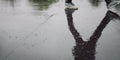 Walking student in a campus. Reflection. Rainy day Royalty Free Stock Photo