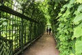 A group of people in a tunnel of green plants. Royalty Free Stock Photo