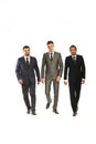 Walking three business men Royalty Free Stock Photo