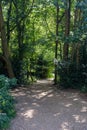 Walking throw nature inside Hampstead Uk park, Uk