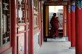 Walking Tibetan Monk