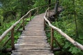 Walking timber bridge with handrails