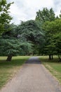 Walking towards the heart of finsbury Park. Beautiful large green trees
