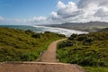 Walking track above Muriwai Beach