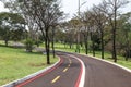 Walking track, cycling track, street, paved street in the park