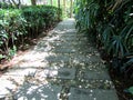 A walking track made of stone slabs among grass