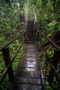 Walking track in the Mossman gorge in Queensland, Australia