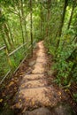 Walking track in the Mossman gorge in Queensland, Australia