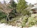 Walking Tracks at Miyajima Island, Hiroshima, Japan Royalty Free Stock Photo