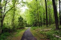 Walking trail Royalty Free Stock Photo