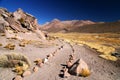 Walking trail in Park Lauca