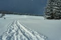 Walking trail buried under snow Royalty Free Stock Photo