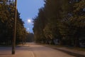 walking trail in the evening summer park Royalty Free Stock Photo