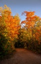 Walking this trail during the fall in Montreal, Quebec, Canada. Royalty Free Stock Photo