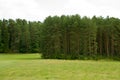 Walking trail in the field