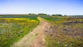 Walking trail through fields covered in wildflowers, North Table Ecological Reserve, Oroville, California