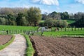 Walking trail through the fields of the Flemish countryside around Asse, Belgium