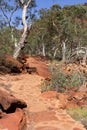 Walking trail through the forest in Kings Canyon National Park, Australia Royalty Free Stock Photo