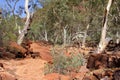 Walking trail in Kings Canyon, Watarrka National Park, Australia