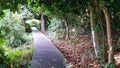 MacRitchie Reservoir