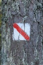 Walking trail marks and signs on trees showing direction for hikers in forest Royalty Free Stock Photo