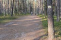 Walking trail marks and signs on trees showing direction for hikers in forest Royalty Free Stock Photo