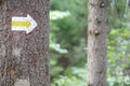 Walking trail marks and signs on trees showing direction for hikers in forest Royalty Free Stock Photo