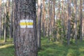 Walking trail marks and signs on trees showing direction for hikers in forest Royalty Free Stock Photo