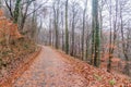 Walking trail at Michelsberg hill in Heidelberg, Germa Royalty Free Stock Photo