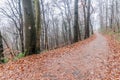 Walking trail at Michelsberg hill in Heidelberg, Germa Royalty Free Stock Photo