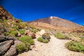 Walking trail at the mount Teide National Park