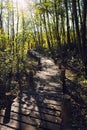 Walking trail in the nature reserve Haff Reimech Royalty Free Stock Photo