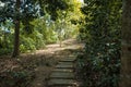 Walking trail in a park in the countryside Royalty Free Stock Photo