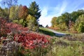 Walking trail through park with vibrant Fall colours Royalty Free Stock Photo