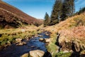 Walking on a trail in the Peak Distrcit Snake Woodland park in UK Royalty Free Stock Photo