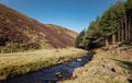 Walking on a trail in the Peak Distrcit Snake Woodland park in UK Royalty Free Stock Photo