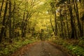 Walking trail in Porcupine wilderness park in Michigan upper peninsula during autumn time.