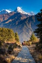 Walking trail to Poon hill view point at Nepal. Poon hill is the famous view point in Gorepani village Royalty Free Stock Photo