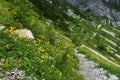 Walking trail under Crna Prst in Julian alps and Triglav national park, Slovenia
