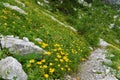 Walking trail under Crna Prst in Julian alps and Triglav national park, Slovenia