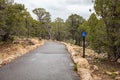 Walking trail and wheelchair access sign, pine trees and cloudy sky background. Grand Canyon National park, Arizona, USA Royalty Free Stock Photo