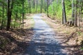 Walking Trail in the Woods Royalty Free Stock Photo