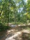 Walking trail in a woods or park Royalty Free Stock Photo